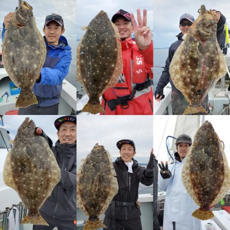 シーライオン 釣果