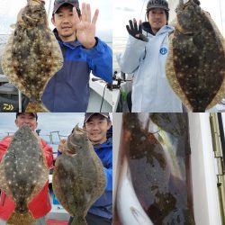 シーライオン 釣果