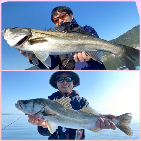 アマテラス 釣果