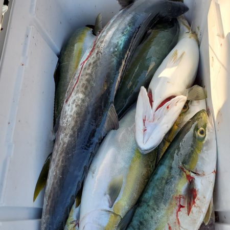 サンマリン 釣果