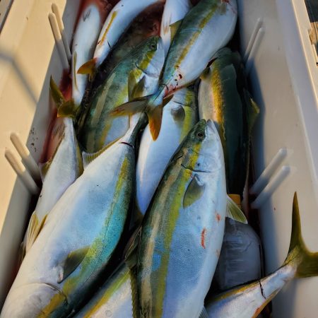 サンマリン 釣果