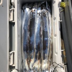 フィッシング キッタカ 釣果