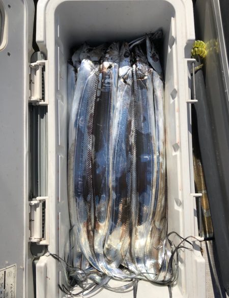 フィッシング キッタカ 釣果