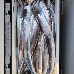 フィッシング キッタカ 釣果