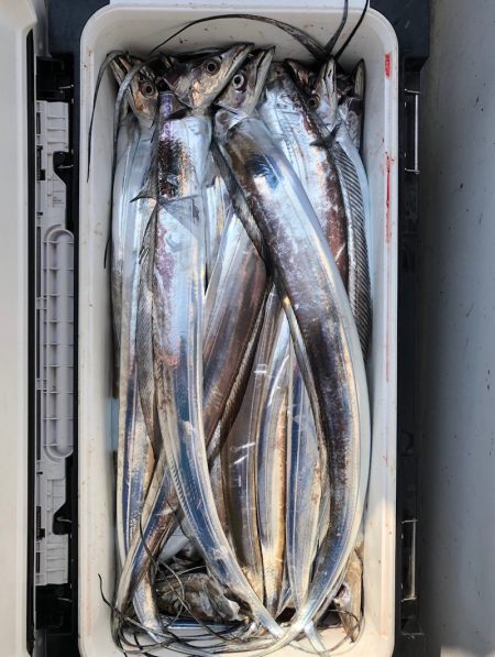 フィッシング キッタカ 釣果