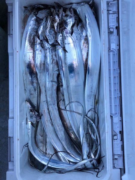 フィッシング　キッタカ 釣果