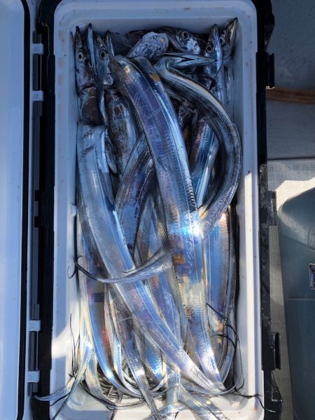 フィッシング　キッタカ 釣果