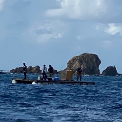 あみや渡船 JIGBOY 釣果