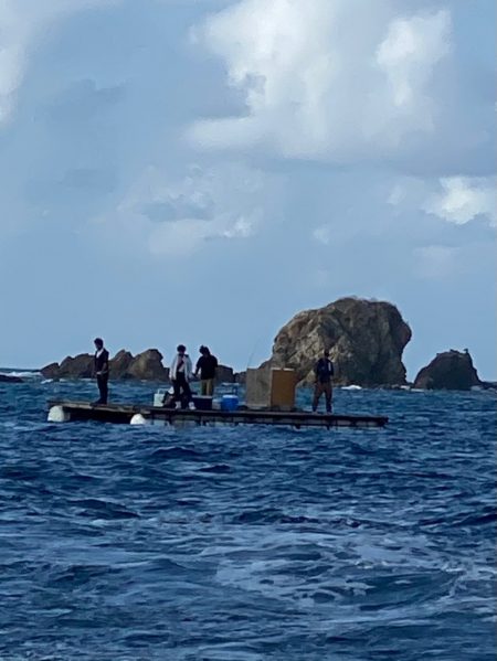 あみや渡船 JIGBOY 釣果