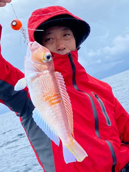 あみや渡船 JIGBOY 釣果