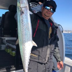 ビッグファイター 釣果