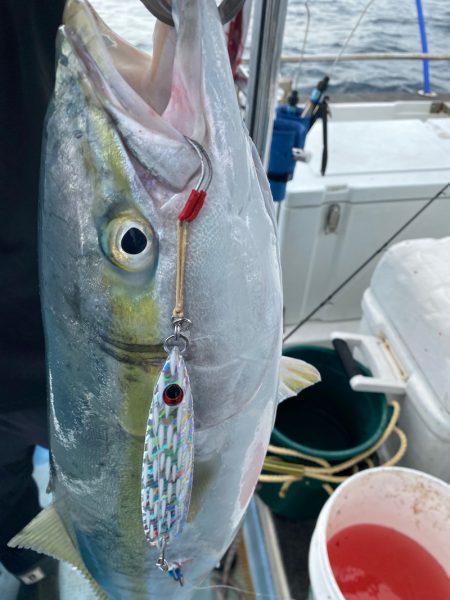 Monster Rush! 釣果