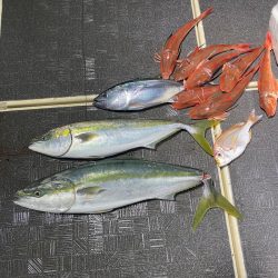 Monster Rush! 釣果