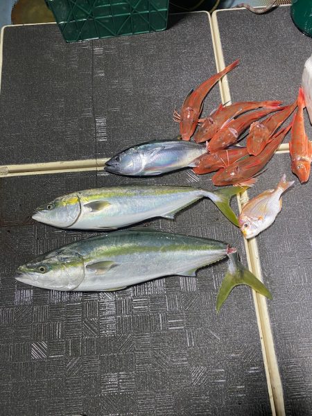 Monster Rush! 釣果