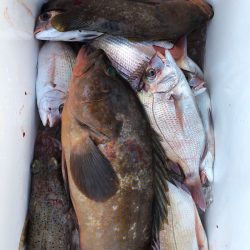 フィッシング キッタカ 釣果