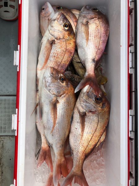 フィッシング キッタカ 釣果