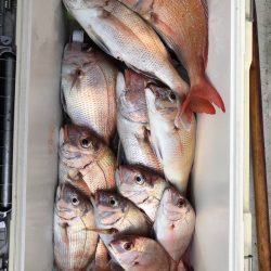 フィッシング キッタカ 釣果