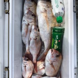 フィッシング キッタカ 釣果