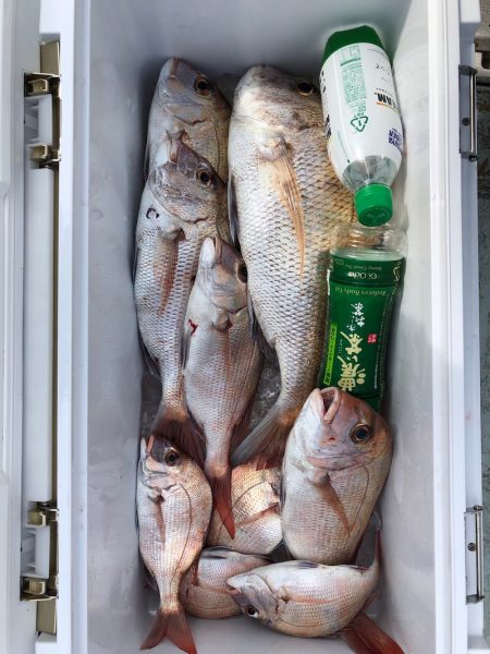 フィッシング キッタカ 釣果