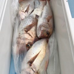 第二八坂丸 釣果