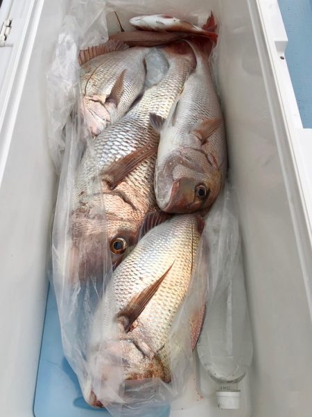 第二八坂丸 釣果