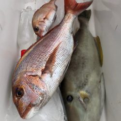 第二八坂丸 釣果