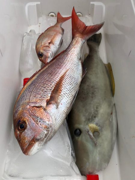 第二八坂丸 釣果