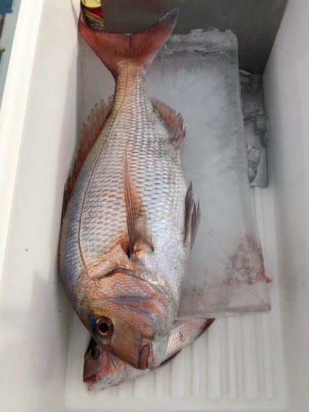 第二八坂丸 釣果