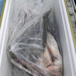 第二八坂丸 釣果