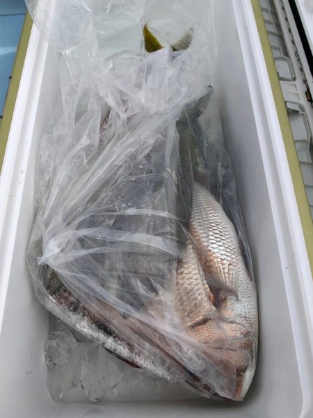 第二八坂丸 釣果