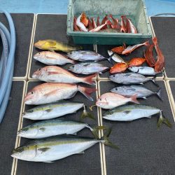 Monster Rush! 釣果