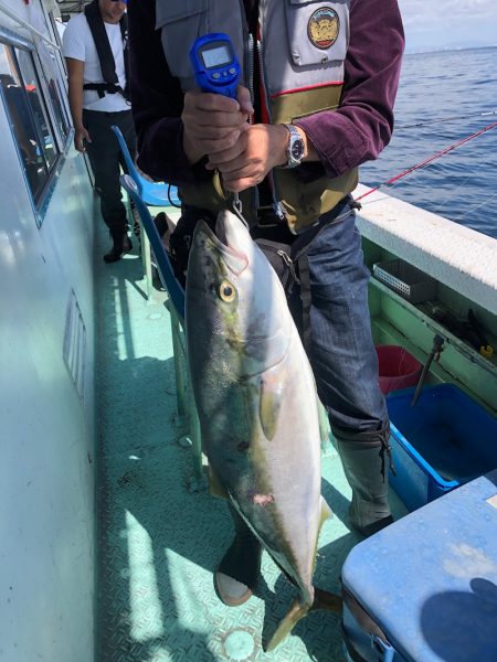 ヤザワ渡船 釣果
