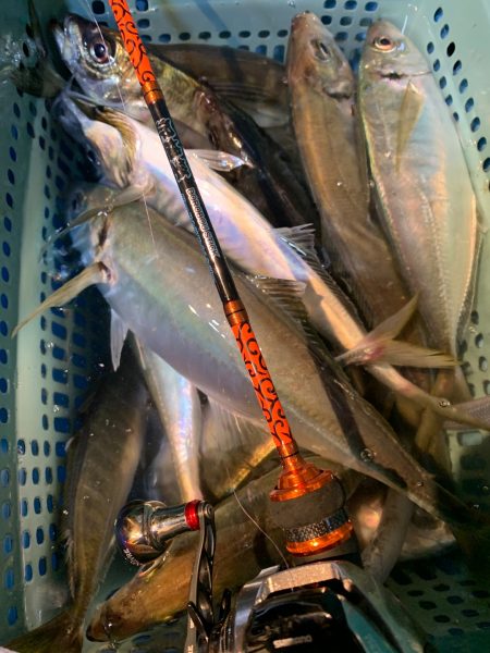 愛海丸 釣果