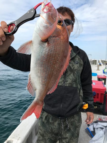 ランスルー 釣果