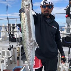 ビッグファイター 釣果