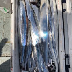 フィッシング キッタカ 釣果