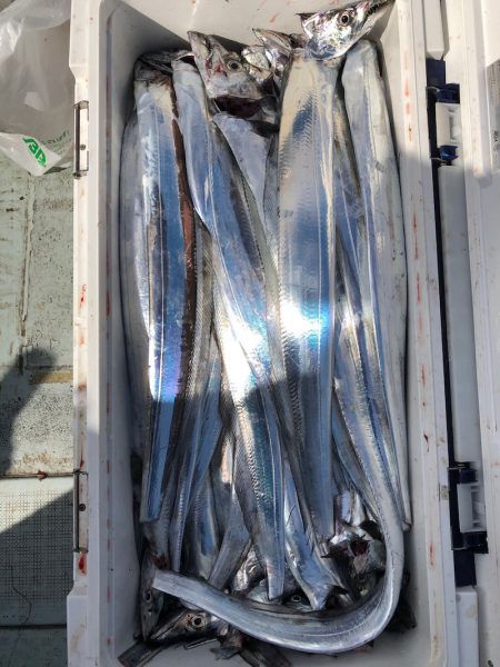 フィッシング キッタカ 釣果