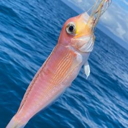 あみや渡船 JIGBOY 釣果