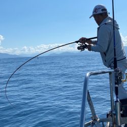 あみや渡船 JIGBOY 釣果