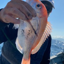 あみや渡船 JIGBOY 釣果