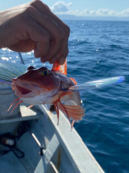 あみや渡船 JIGBOY 釣果