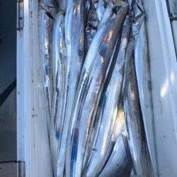 フィッシング　キッタカ 釣果