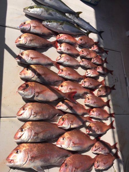 大雄丸 釣果