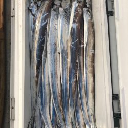 フィッシング キッタカ 釣果