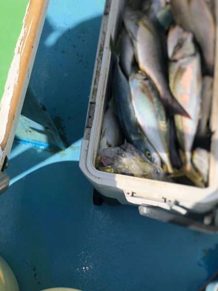 丸万釣船 釣果