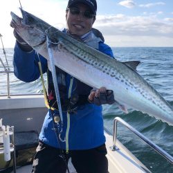 ビッグファイター 釣果