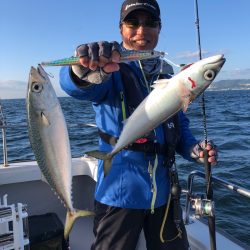 ビッグファイター 釣果