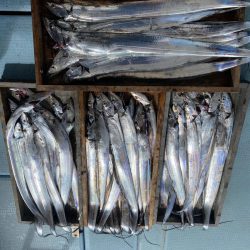 岡田釣船 八英丸 釣果