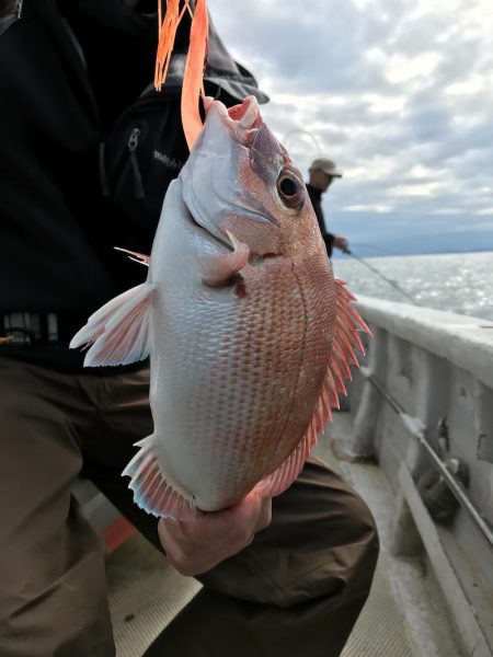 ランスルー 釣果
