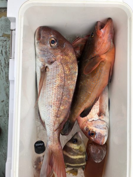 フィッシング キッタカ 釣果